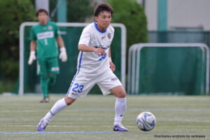 NO23東